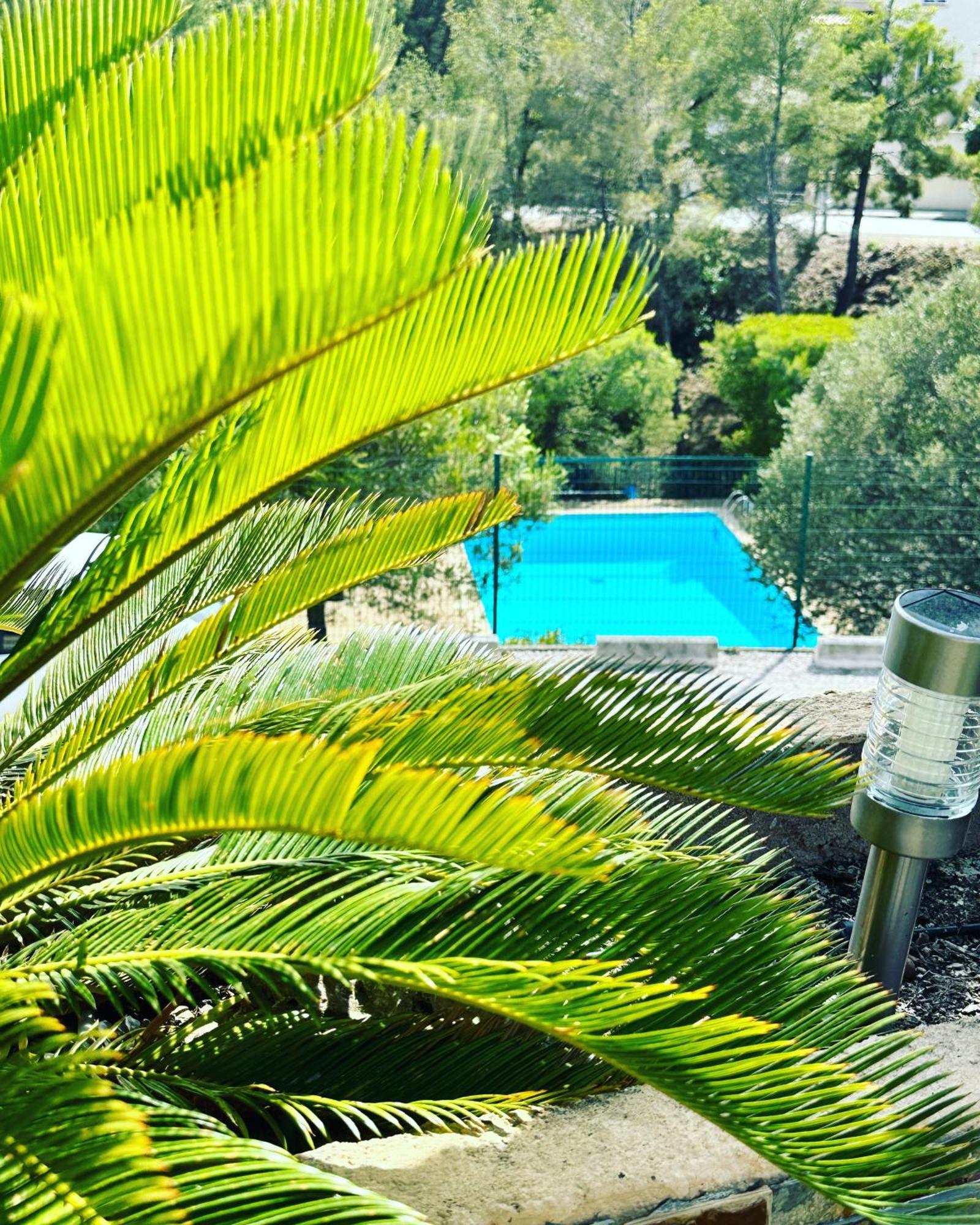 Vuemer Bandol - Grande Terrasse De 45M2 Vue Mer Piscine Parking Exteriér fotografie